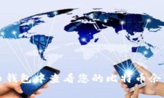 如何在比特币钱包中查看